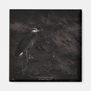 Great Blue Heron P2391 Magnet