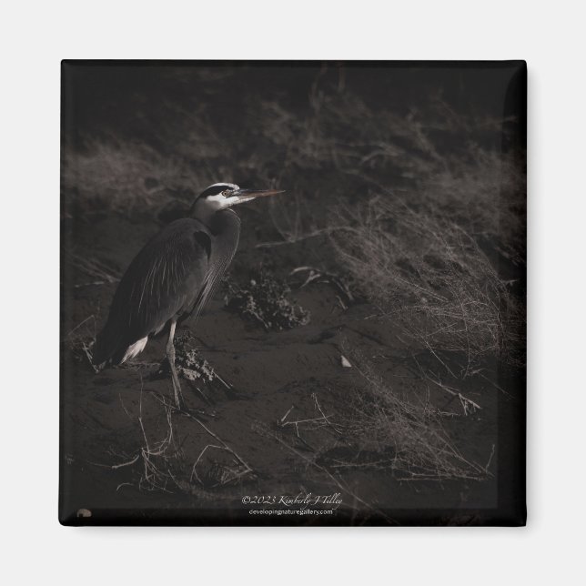 Great Blue Heron P2391 Magnet (Front)