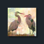 Great Blue Heron Pair Digital Art Canvas Print<br><div class="desc">Wildlife photography of a great blue heron pair in courting display during breeding season and created as digital art by Lori A. Cash Photography (loriacashphotography.com).</div>