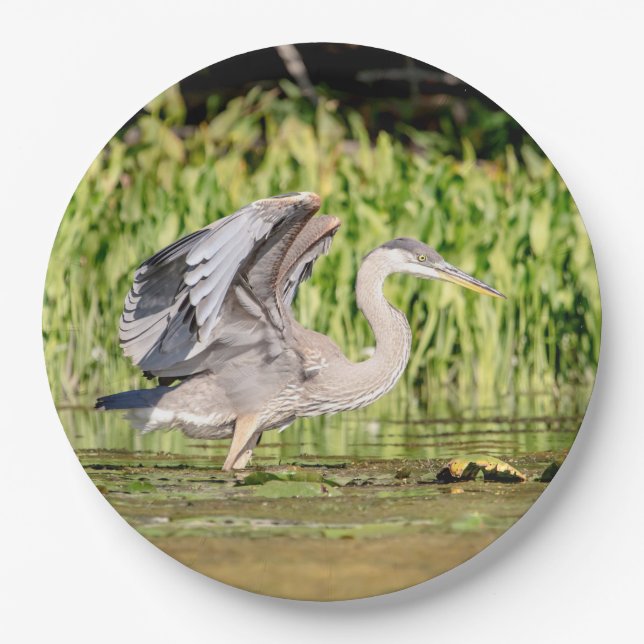 Great Blue Heron Paper Plate (Front)