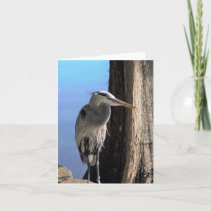 Great Blue Heron Photo Blank Note Card
