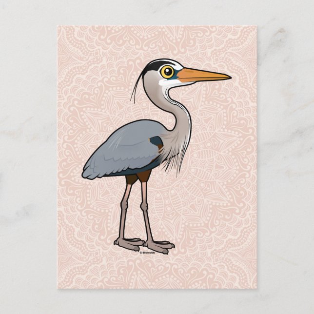 Great Blue Heron Postcard (Front)