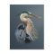 Great Blue Heron Postcard