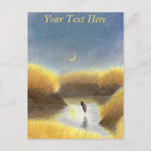 Great Blue Heron Postcard