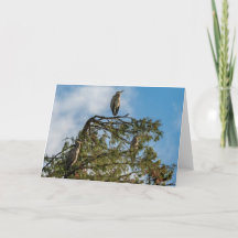 Great Blue Heron Roost Thank You Card