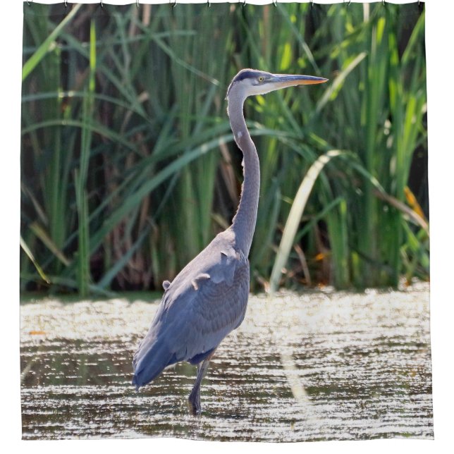Great Blue Heron Shower Curtain (Front)