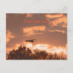 Great blue heron silhouette in flight at sunset postcard