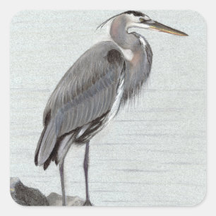 Great Blue Heron Square Sticker