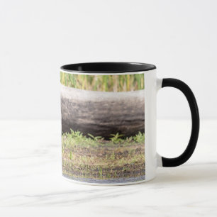 Great Blue Heron standing in Lake Champlain Mug