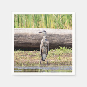 Great Blue Heron standing in Lake Champlain Napkin