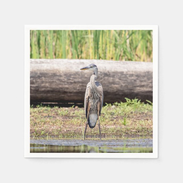 Great Blue Heron standing in Lake Champlain Napkin (Front)