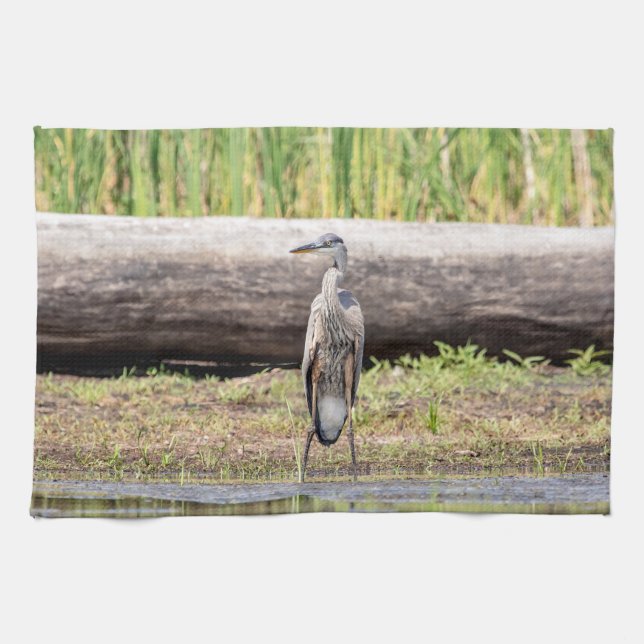 Great Blue Heron standing in Lake Champlain Tea Towel (Horizontal)