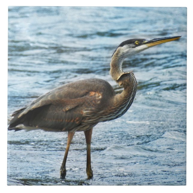 Great Blue Heron Standing in the Water Tile (Front)