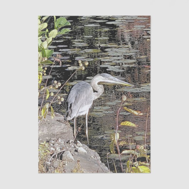 Great Blue Heron Stretched Canvas Print Tissue Paper (Front)