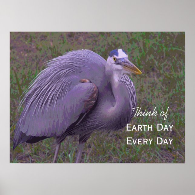 Great Blue Heron Territory Poster (Front)