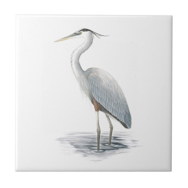 Great Blue Heron Tile (Front)