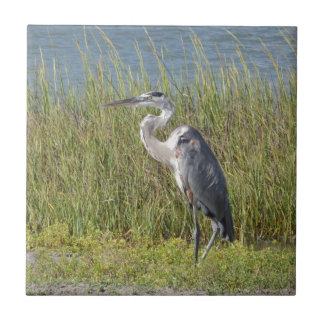 Great Blue Heron Tile