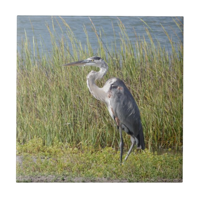 Great Blue Heron Tile (Front)