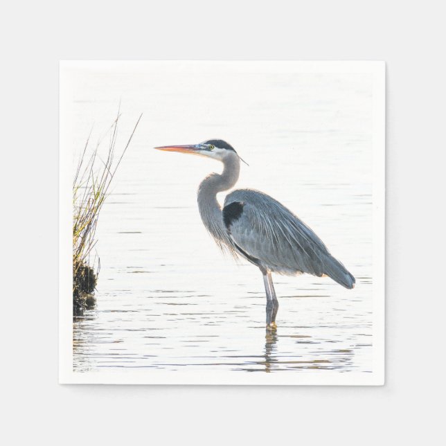 Great Blue Heron - wading Napkin (Front)