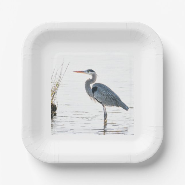 Great Blue Heron - wading Paper Plate (Front)