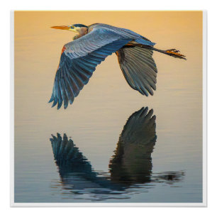 Great Blue Heron Wall Art Elegant Bird Poster