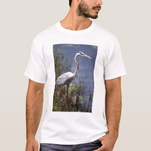 Great Blue Heron water bird T-Shirt
