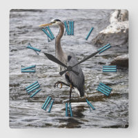 Great Blue Heron Wildlife Birdlover Photo