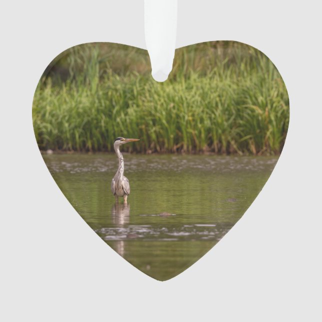 Great Blue Heron  Wildlife Lake Dated Photo Custom Ornament (Front)