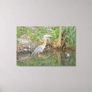Great Blue Heron Woodland Wrappped Canvas Print