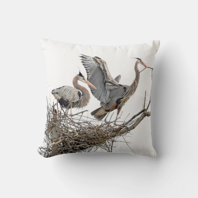 Great Blue Herons Building a Nest Cushion (Front)