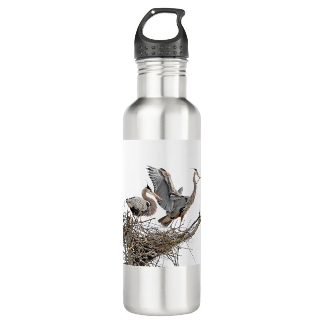 Great Blue Herons Bulding a Nest 710 Ml Water Bottle (Front)