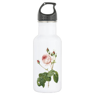 great cabbage-leaved rose by Redouté 532 Ml Water Bottle