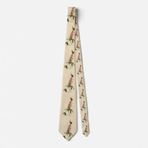 Great Carolina Wren - Audubon's Birds of America Tie