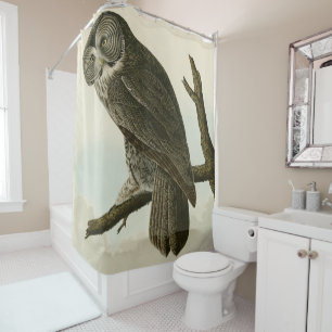 Great Cinereous Owl from Audubon Birds of America Shower Curtain