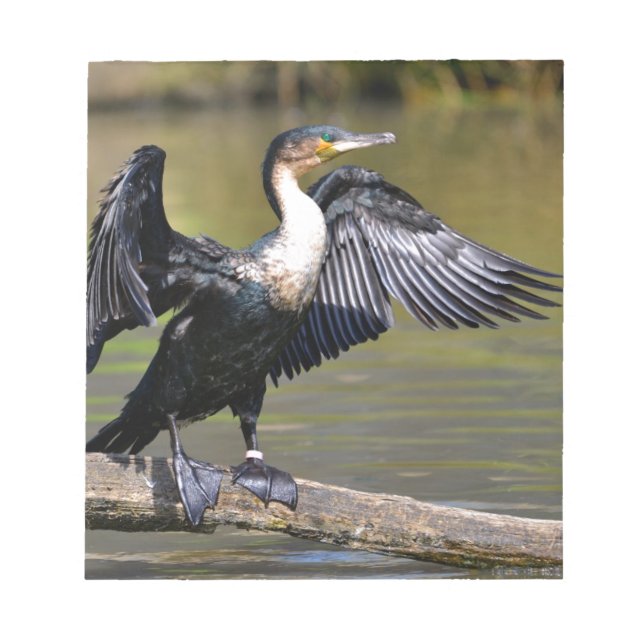 Great Cormorant with opened wings Notepad (Front)