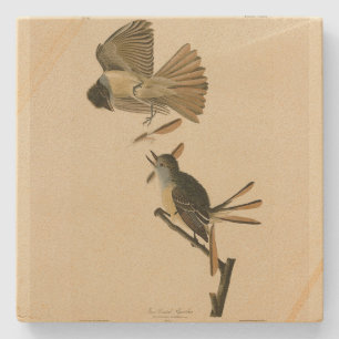 Great Crested Flycatcher, Audubon Birds of America Stone Coaster