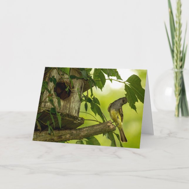 Great Crested Flycatcher Card (Front)