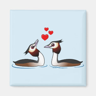 Great Crested Grebes in Love Magnet