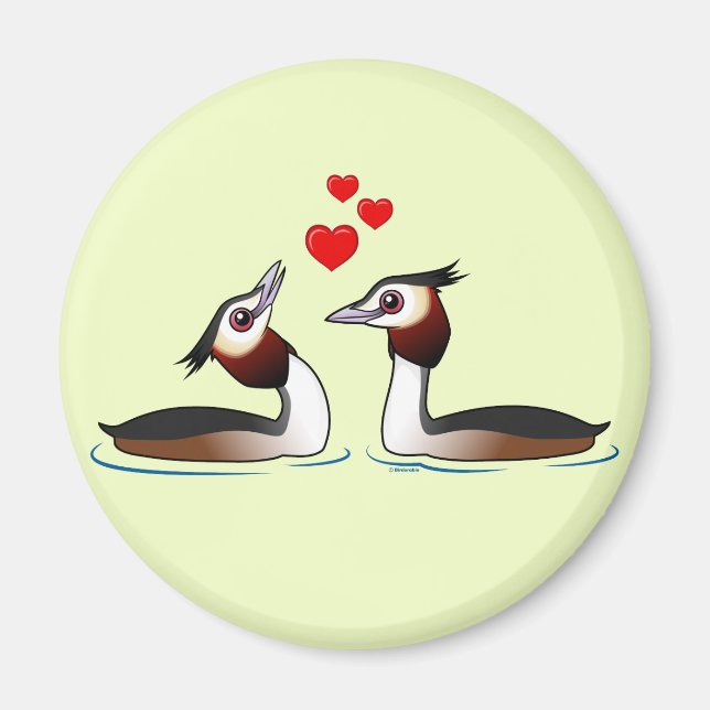 Great Crested Grebes in Love Magnet (Front)