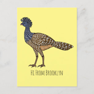 Great curassow bird cartoon illustration postcard