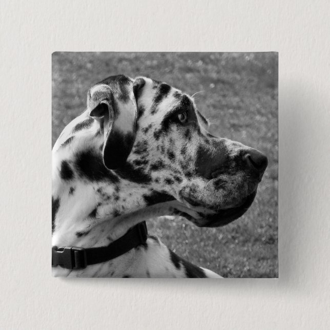 GREAT DANE 15 CM SQUARE BADGE (Front)