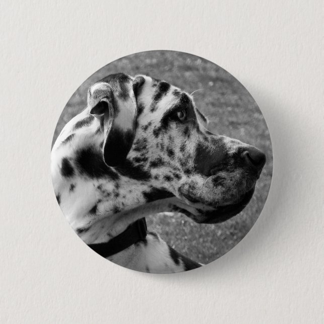 GREAT DANE 6 CM ROUND BADGE (Front)
