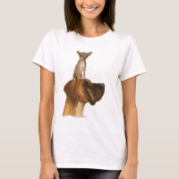 Great Dane and Chihuahua 2