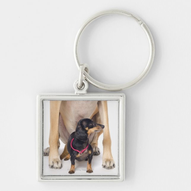 Great Dane and Dachshund portrait Key Ring (Front)