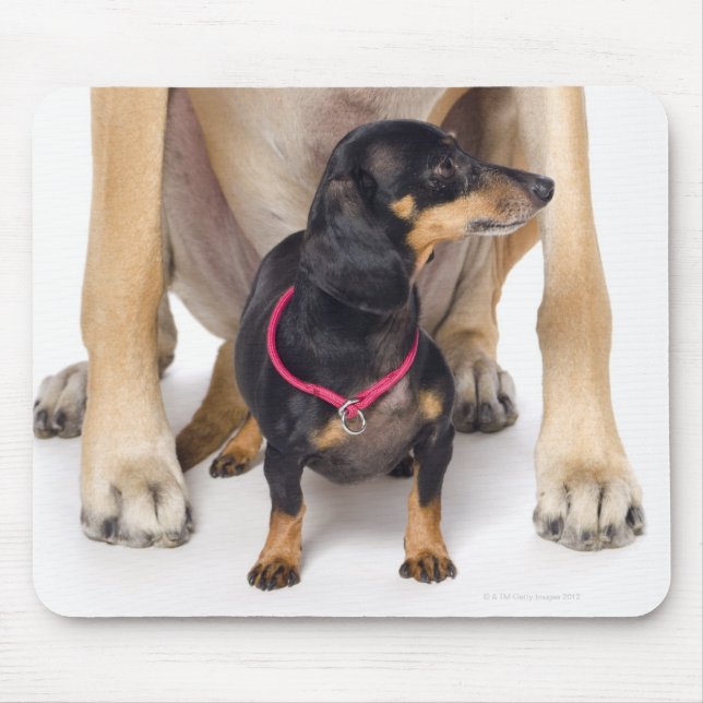 Great Dane and Dachshund portrait Mouse Mat (Front)