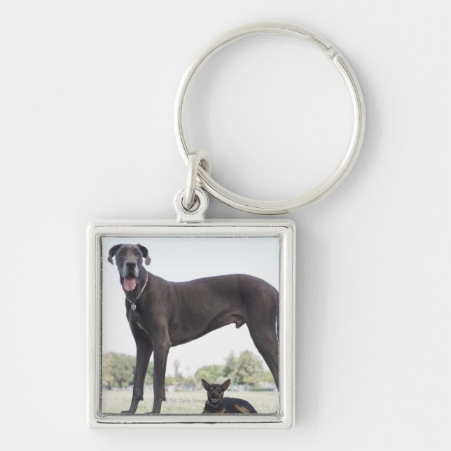 Great dane and small mixed-breed dog key ring (Front)