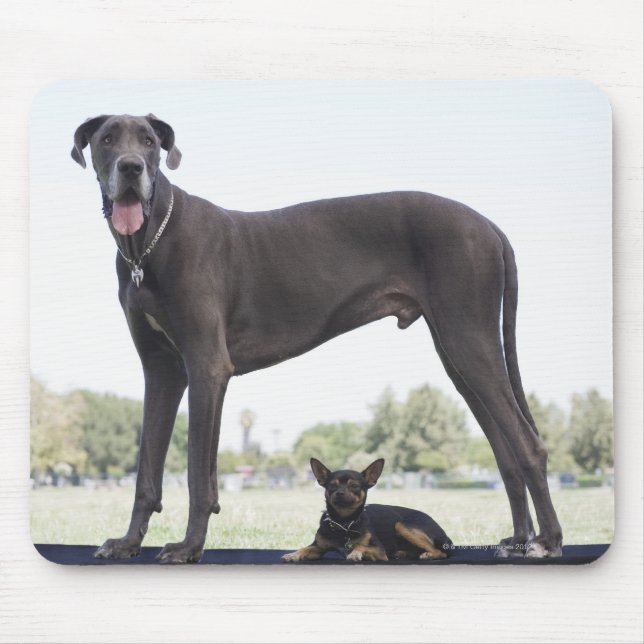 Great dane and small mixed-breed dog mouse mat (Front)