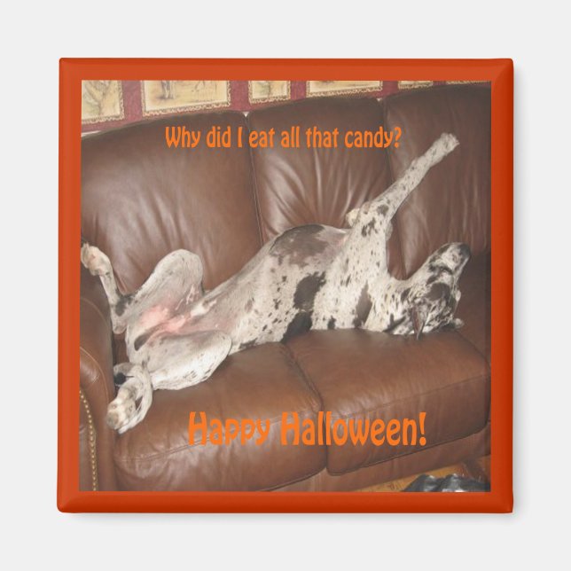 Great Dane Ate Too Much Halloween Candy Magnet (Front)