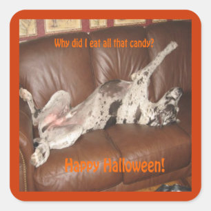 Great Dane Ate Too Much Halloween Candy Square Sticker