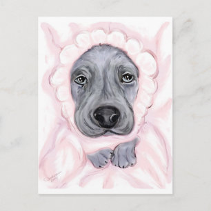 Great Dane Baby Blue Girl Announcement Postcard
